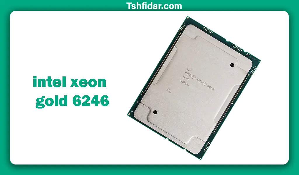 قیمت intel xeon gold 6246 processor